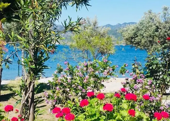 Salkim Sahil Evi Otel Selimiye (Aegean)