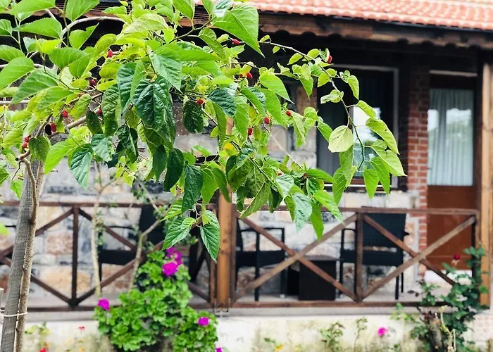 Salkim Sahil Evi 2*
