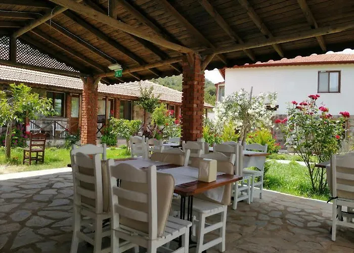 Salkim Sahil Evi 2*